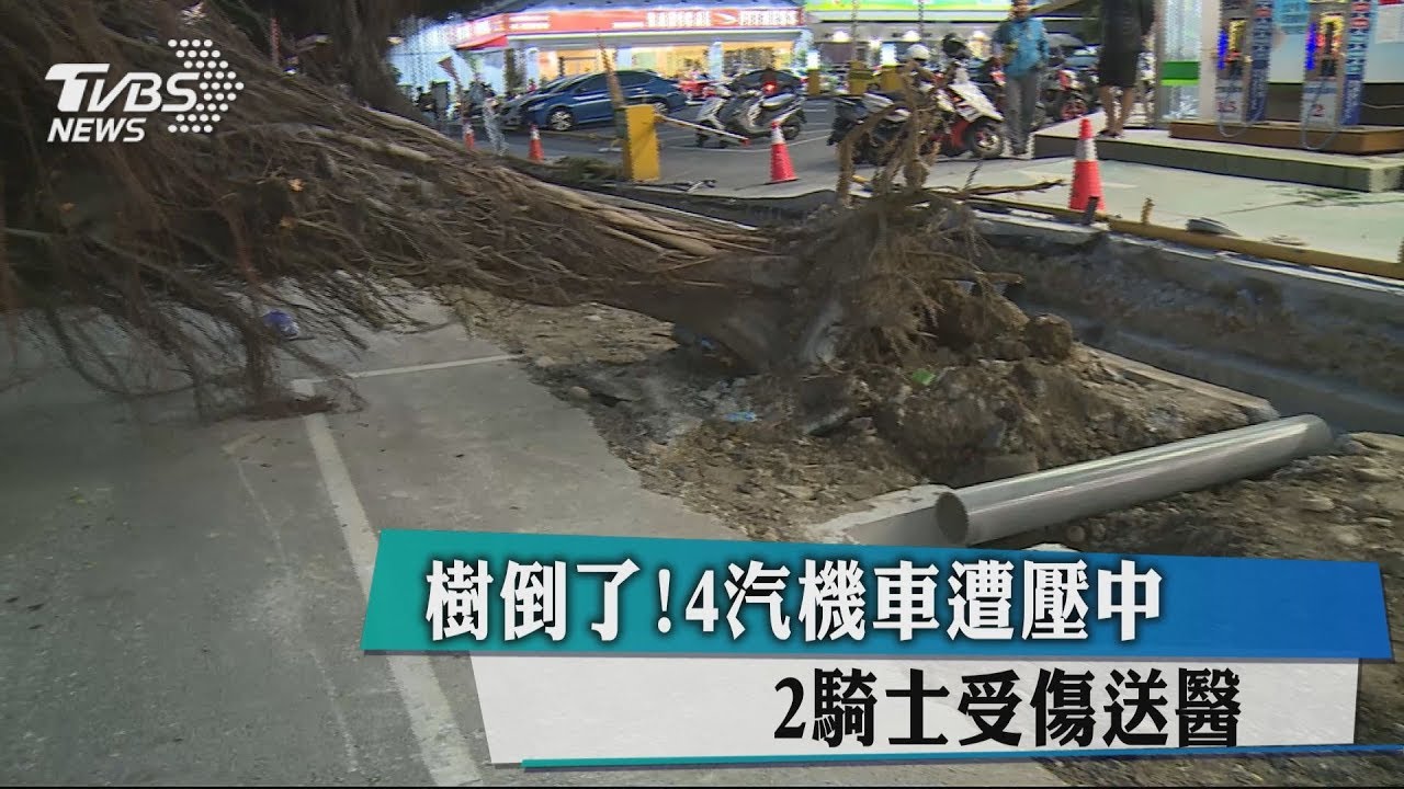 樹倒了!4汽機車遭壓中 2騎士受傷送醫