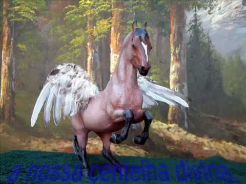 Pegasus - Ivanildo Assis.