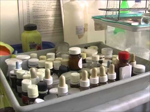 A Szent-Györgyi bezárásáról 1.rész