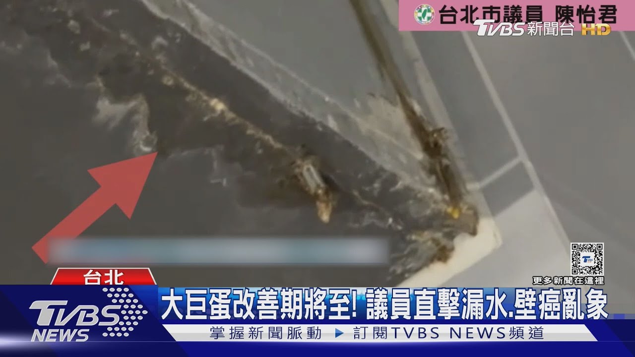 大巨蛋改善期將至! 議員直擊漏水、壁癌亂象