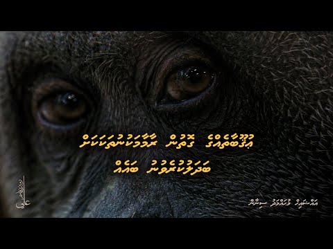 Uqoobaathegge gothun raamaa makunu thakakah badhalu kurevunu bayeh - Ali Rameez