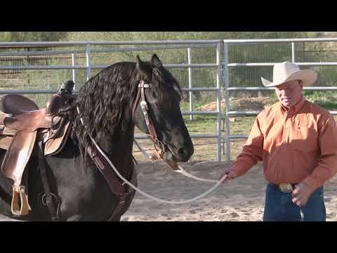 Motivating a Lazy Horse: Ken McNabb Horsemanship