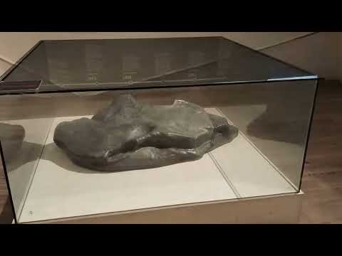 The Story Of Multatuli