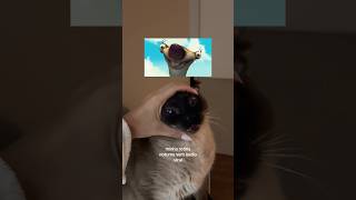 rotina noturna sem áudio viral #vlog