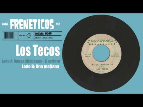 Los Tecos - una mañana (Los Dinamicos Exciters)