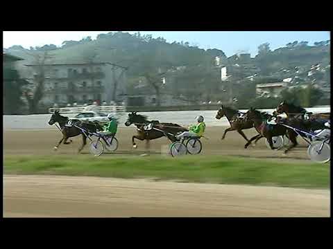 Napoli Trotto 26/020/2021 - 4ª corsa