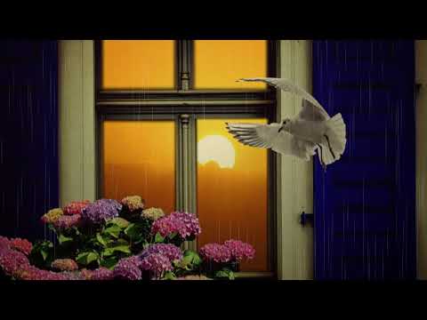 Thunderstorm Sunset - 3 Hours Relaxing Thunder & Rain Sounds