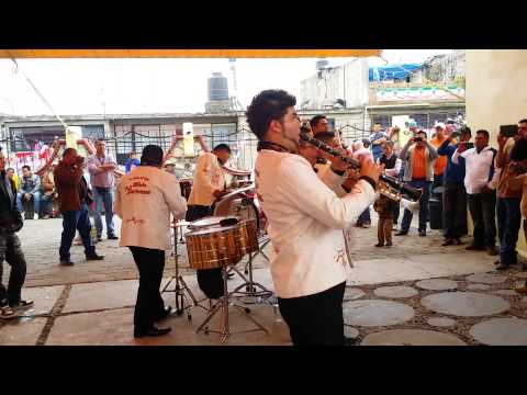 los mayeles - banda yurirense  2014