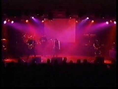 Darken - No more Lies