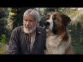 The Call Of The Wild English FullMovieWestern Adventure Family