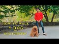 How To Walk A Dog With Rajiv Surendra
