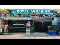 Royal Aquarium In Wattala Sri Lanka Shop Promo Video