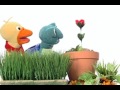 Baby Einstein Classic Videos Coming Soon