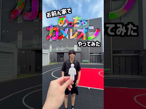 【実写版】家でめっちゃカメレオンやってみた