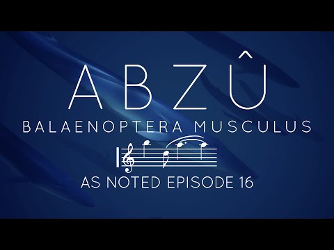 ABZÛ - Balaenoptera musculus - As Noted