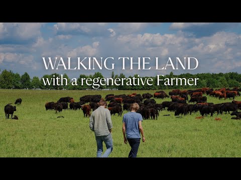 Benedikt Bösel - Walking the land with 300 cows into a 1000-hectare farm and agroforestry system