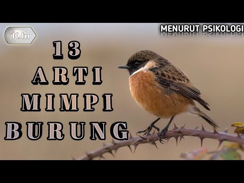 13 ARTI MIMPI BURUNG | MENURUT PSIKOLOGI❗ PERTANDA BAIK?