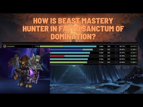 How Is Beast Mastery Hunter In Fated Sanctum Of Domination? 9.2.5 WoW Shadowlands