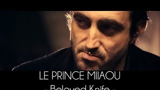 Le Prince Miiaou - Beloved Knife (extrait 3/6 de l'album 'where is the queen?') Teaser #3