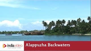 An amphibious life on Alappuzha backwaters