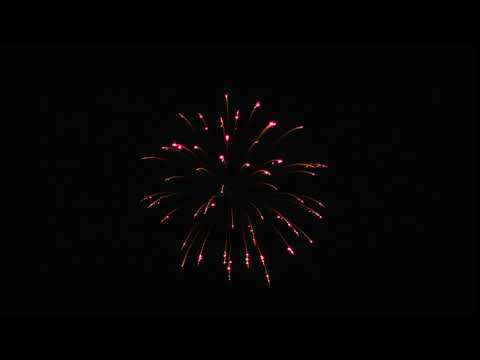 4' Red strobe willow