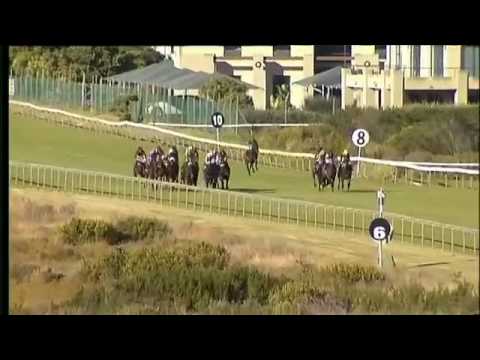 2016.12.03 Cape Merchants (RSA) - Search Party