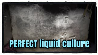 PERFECT Liquid Culture for Growing Mushrooms!