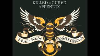 The New Amsterdams - Killed or Cured Appendix - 03 - Heaven Sent (First Attempt)