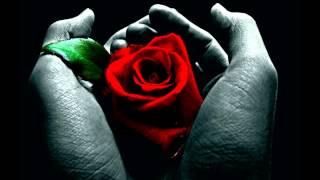 Scream Silence - Living In The Rose