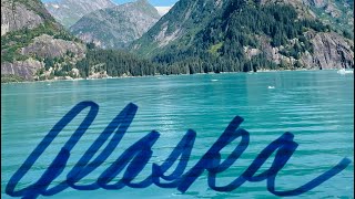 ALASKA - Solo Cruise August 2024 - Episode 6 (Tracy Arm Fjord)