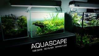 Low Tech Without CO2 Planted Aquarium l Easy Do Aquascape l No co2 l No filter
