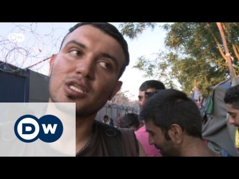 Gestrandet an der Grenze zu Ungarn | Fokus Europa