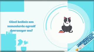 PETVET VETERİNER TIP MERKEZİ
