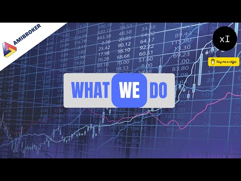 xclusif Insights   What we do