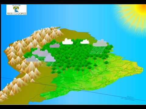 Rios Voadores - animação