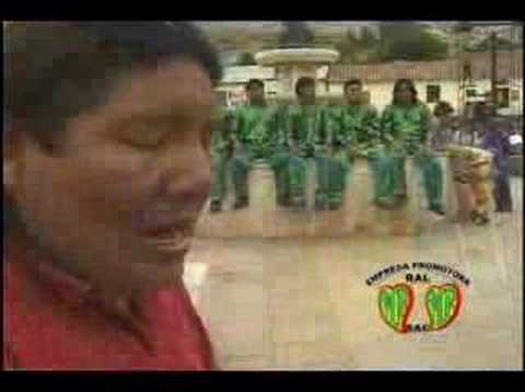 EL OSITO PARDO - DULCE AMANECER (video clip)