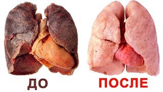 Что Будет, Если Резко Бросить Курить?