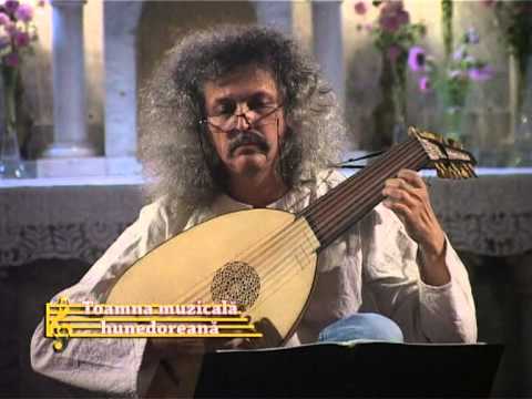 The Voice - Nicolae Szekely, lute.mpg