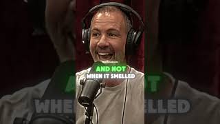 Download lagu The Reality Of Having A Pet Wolf mp3