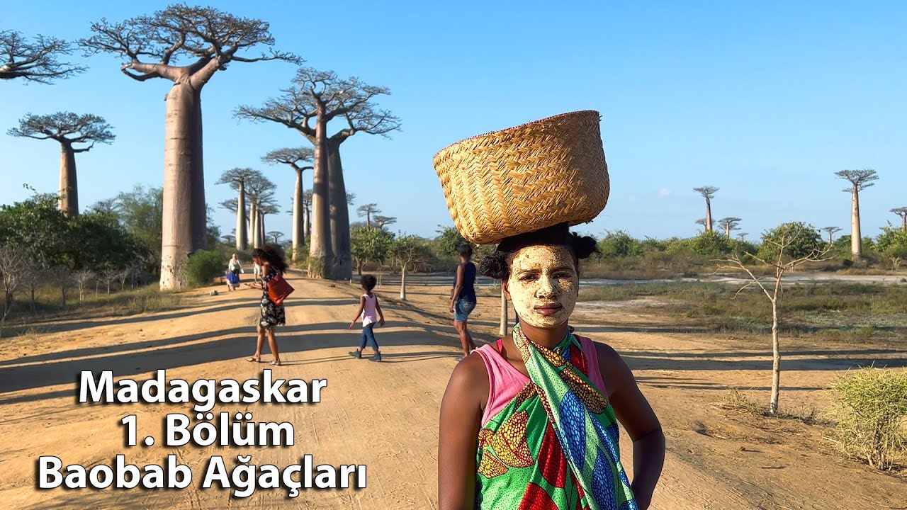 MADAGASCAR - EPISODE 1 - BAOBAB TREES, THE JOURNEY AND THE BAZAAR