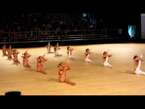 World Gymnaestrada 2011 China