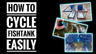 How To Cycle Fish Tank Fast & Effectively: With English Subtitle