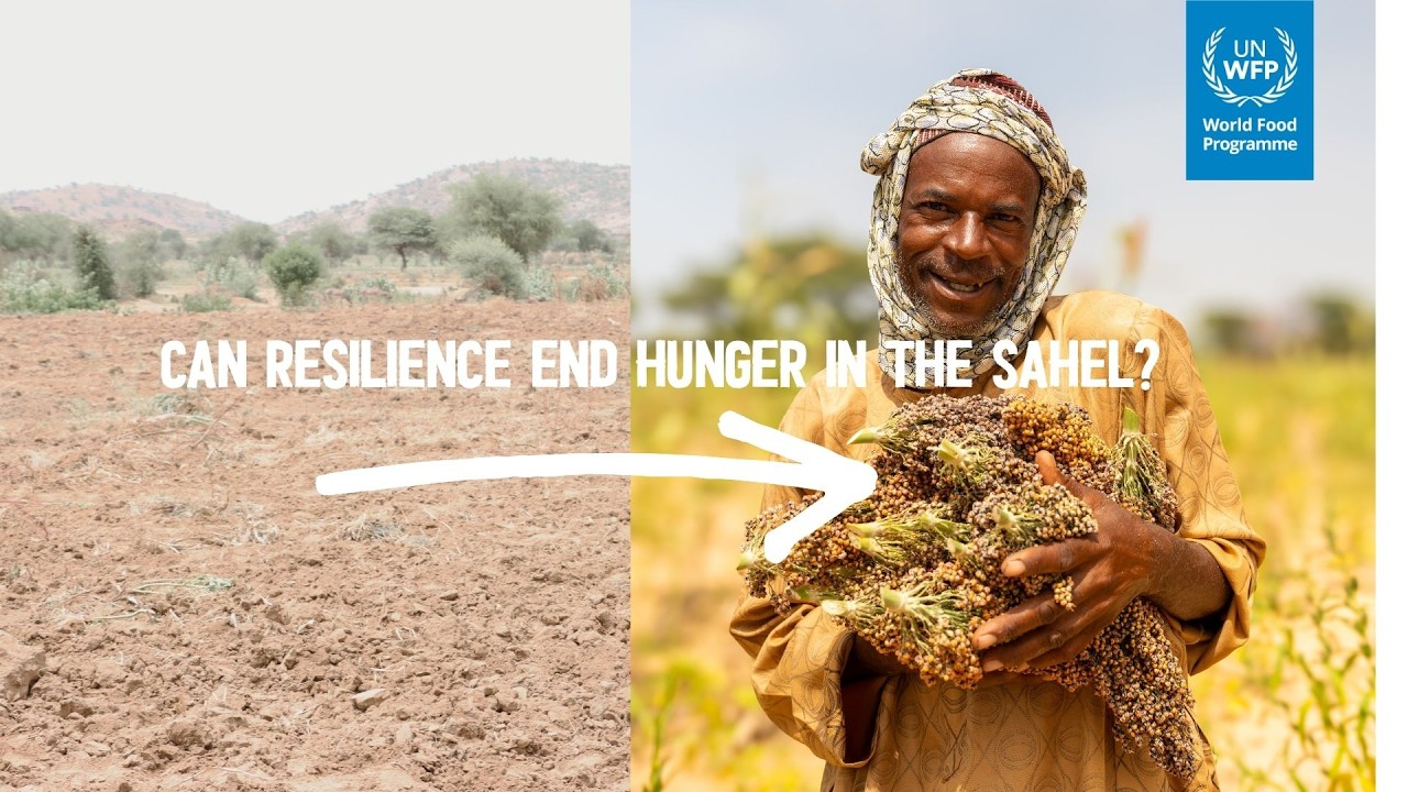 From emergency response to lasting solutions in the fight against hunger | WFP Sahel Resilience