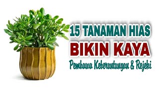 Download lagu 15 Tanaman Hias Pembawa Rejeki Dan Keberuntungan, Wajib Punya di rumah mp3