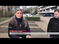 Verveelde kauwen terroriseren Soester flatbewoners [RTV Utrecht]
