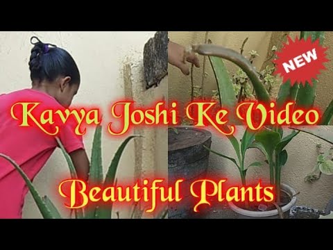 Kavya Joshi Ke Video I Kavya Joshi new video I કાવ્યા જોષીના વીડિયો I काव्या जोशी के वीडियो I part 2