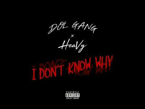 D.O.L Gang x I Don't Know Why Ft.  HeaVy (Prod. StunnahSezBeatz)