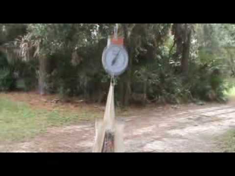 9/11 Experiments: Newton vs. NIST