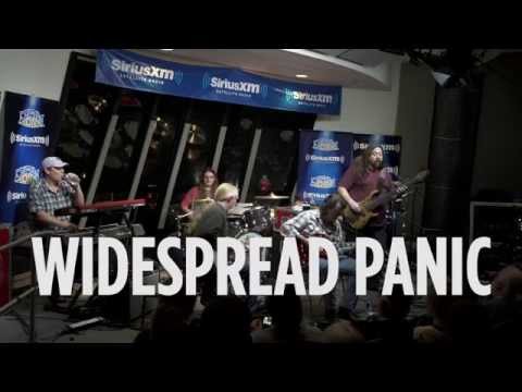 Stevens Cat - Widespread Panic