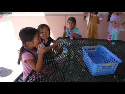 Summer Academy Promo 2023